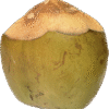 Fresh Coconut