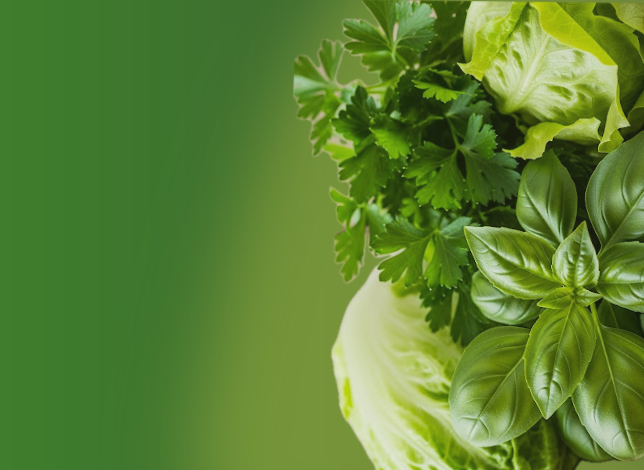 Fresh from the Garden